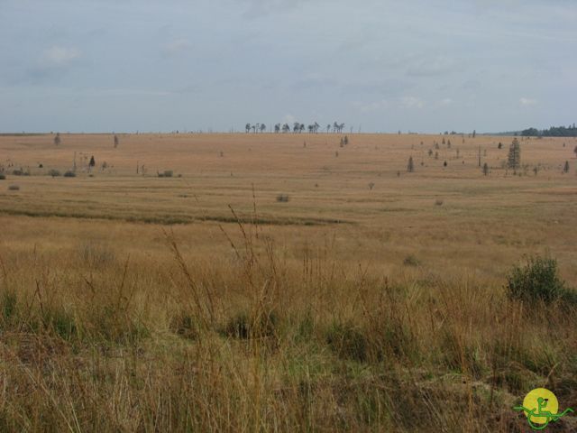 randonnée sportive avec joëlettes, Ovifat, 2012